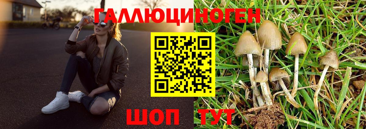 Ноябрьск  Псилоцибиновые грибы Cubensis  наркотики  Вход с VPN  Псилоцибиновые грибы Psilocybe 